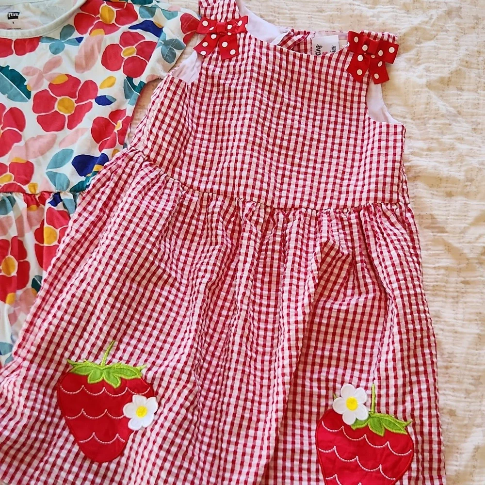 2 Girl's Summer Dresses Size 5, Strawberry Gingham And Floral. - Picture 3 of 4